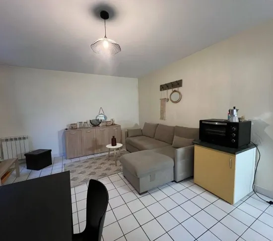 Location Lyon Appartement 696769726d363