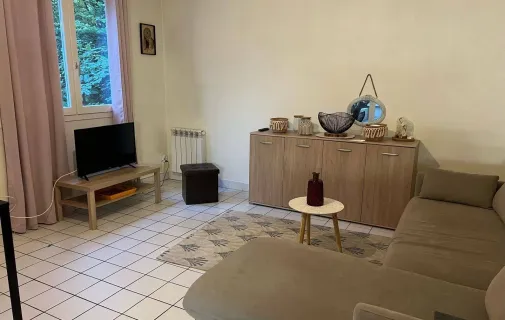 Location Lyon Appartement 696769726d36