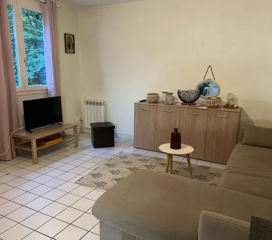 Location Lyon Appartement 696769726d362