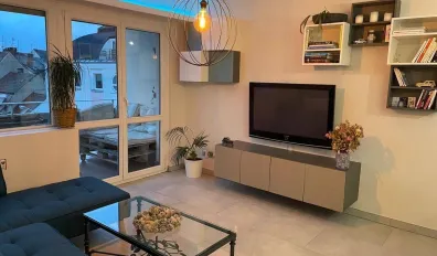 miniatureLocation Strasbourg Appartement 696a29670ddc2