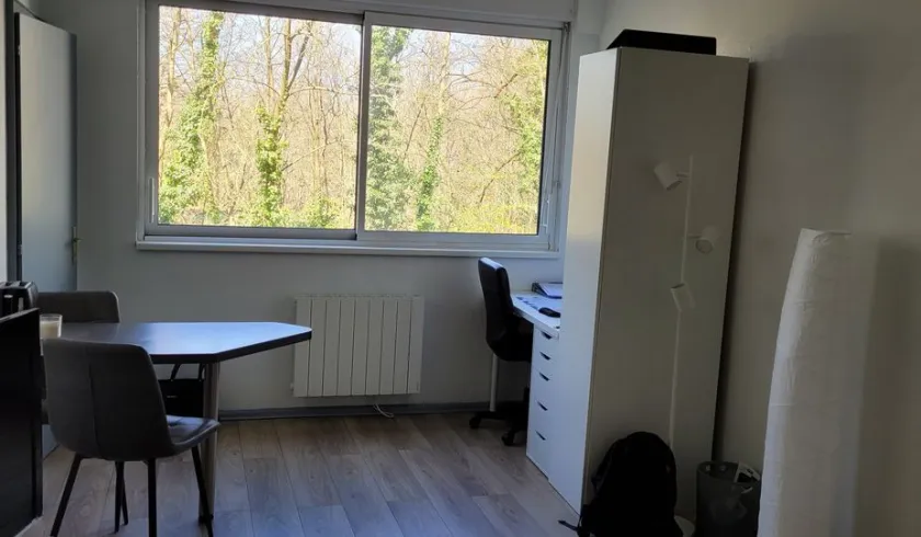Location Strasbourg Appartement 696a482f26f51