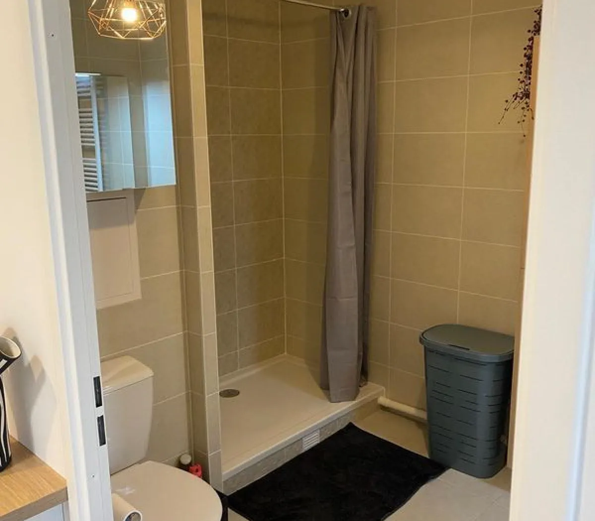 Location Ivry-sur-Seine Appartement 696a49754b43