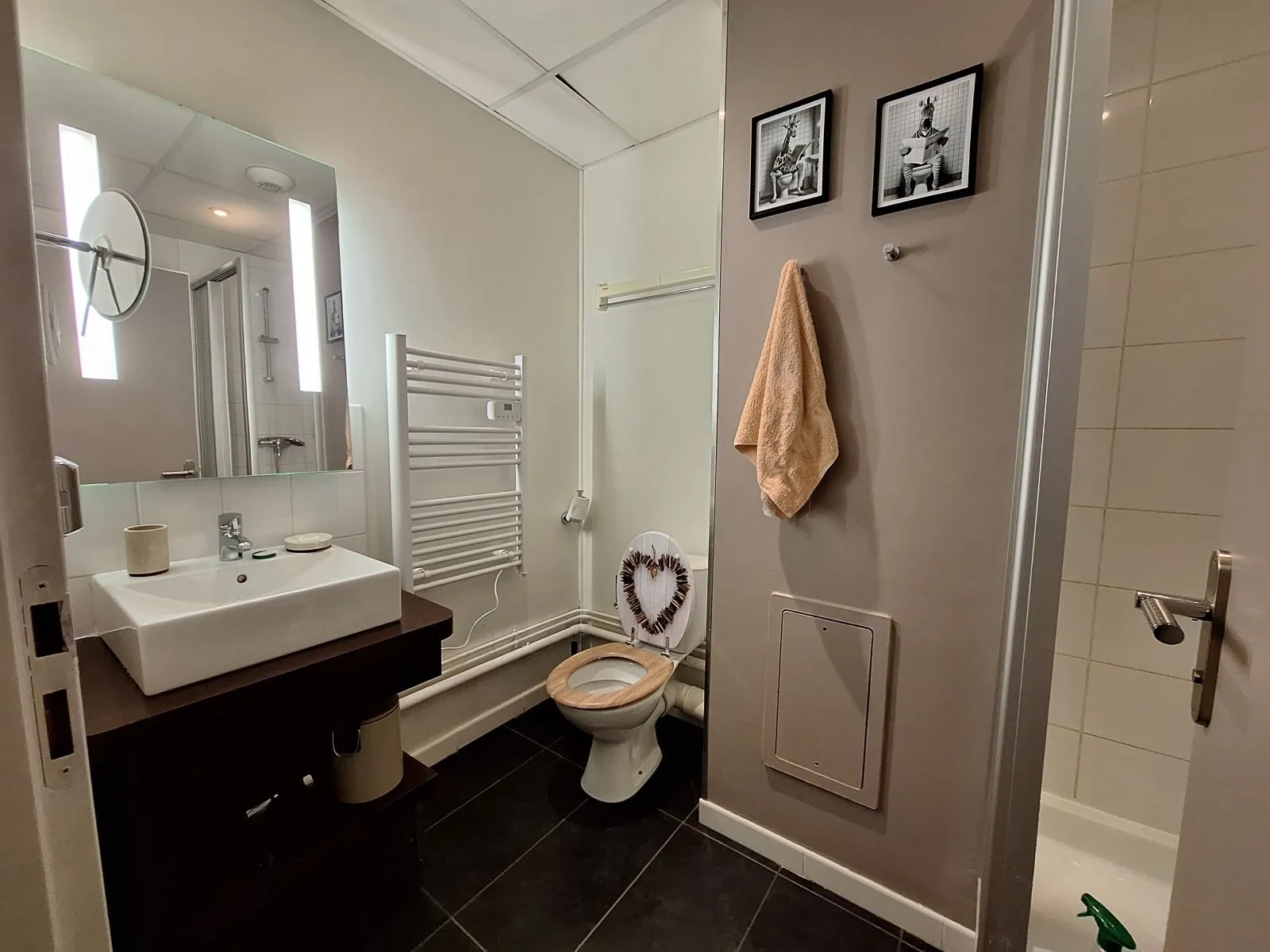 Location Grenoble Appartement 696b5c919996