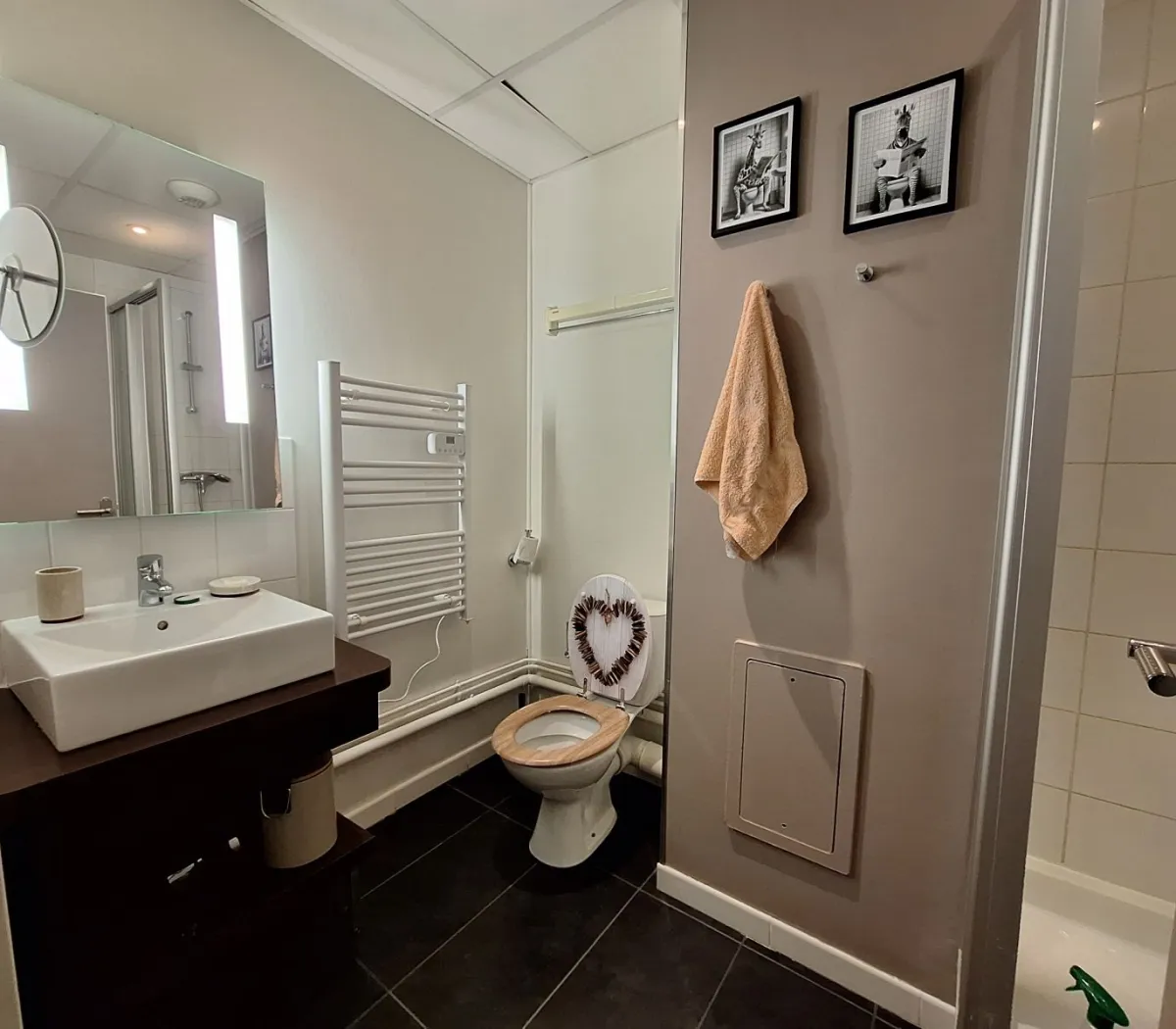 Location Grenoble Appartement 696b5c919996