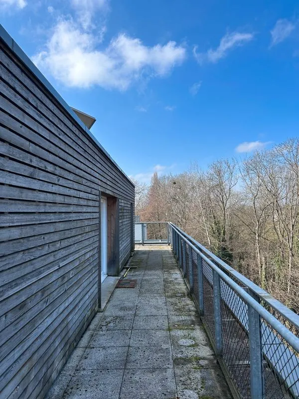 Location Strasbourg Appartement 696ba85c6dea3