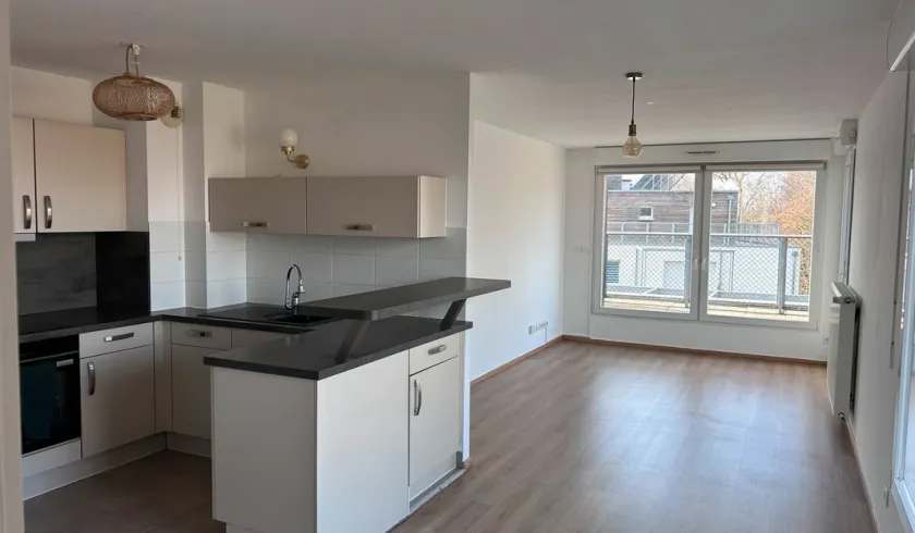 Location Strasbourg Appartement 696ba85c6dea1