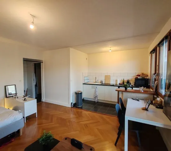 Location Bron Appartement 696df5e9db032