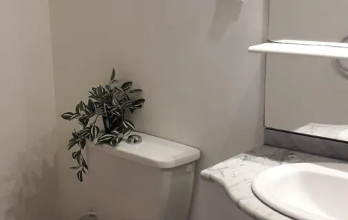 Location Lesquin Chambre 696e46696b8b