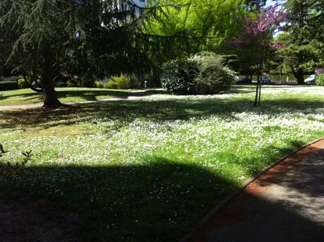 Location Talence Chambre 696e557af1711