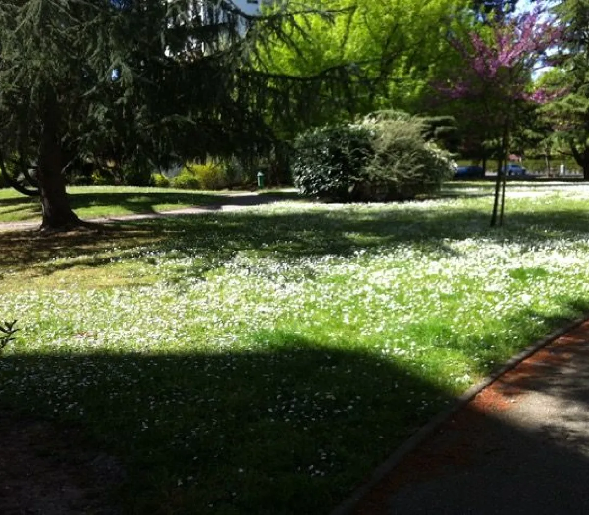 Location Talence Chambre 696e557af171