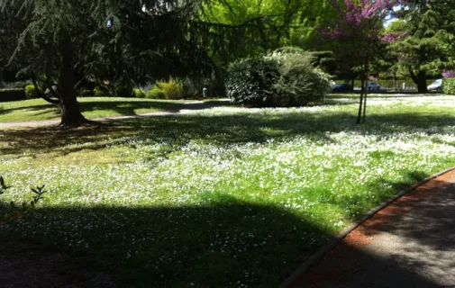 Location Talence Chambre 696e557af171