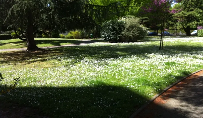 Location Talence Chambre 696e557af1711