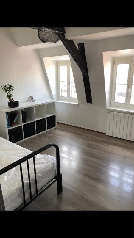 Location Strasbourg Appartement 696fa318928c1