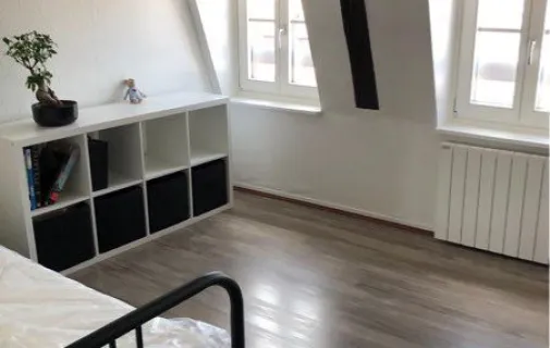 Location Strasbourg Appartement 696fa318928c