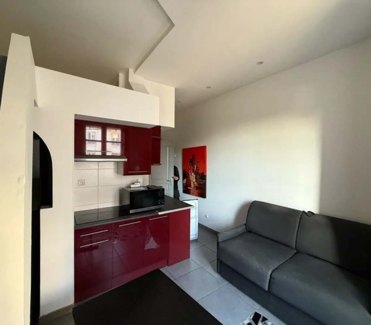 Location Lyon Appartement 696fa3d1d3e1