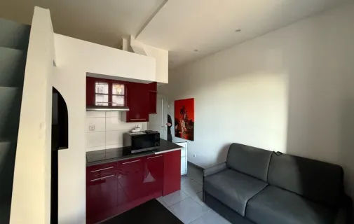 Location Lyon Appartement 696fa3d1d3e1