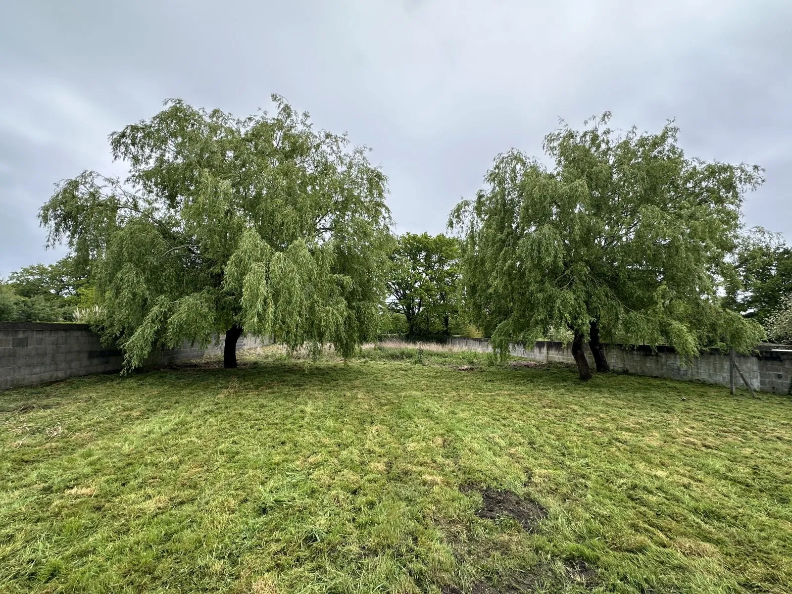 Location Saint-André-des-Eaux Maison 697254e6787a