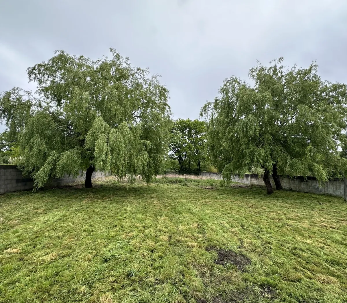 Location Saint-André-des-Eaux Maison 697254e6787a