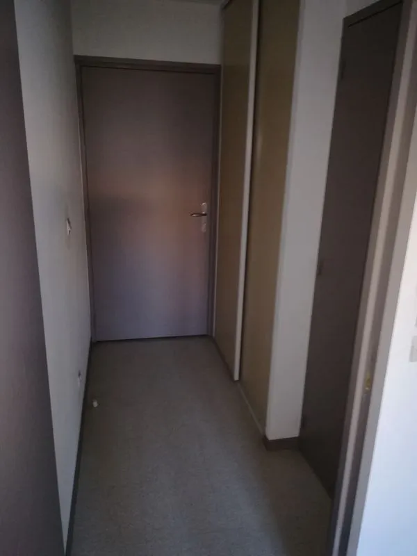 Location Villeurbanne Appartement 6973f6335339