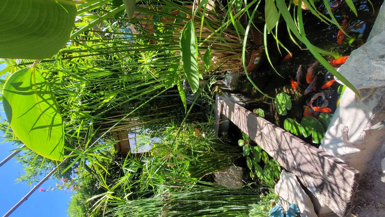 Location Lunel Maison 697522e2020e