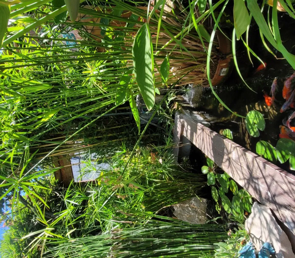 Location Lunel Maison 697522e2020e