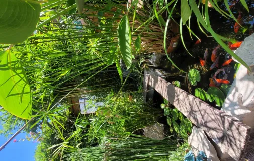 Location Lunel Maison 697522e2020e