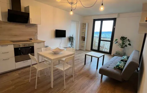 Location Toulouse Chambre 69774f1322fd