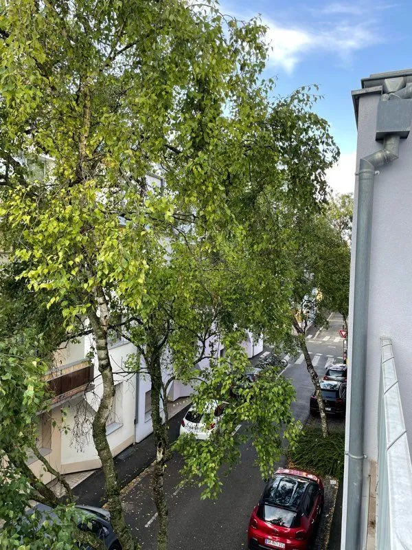 Location Strasbourg Appartement 6979785638aa