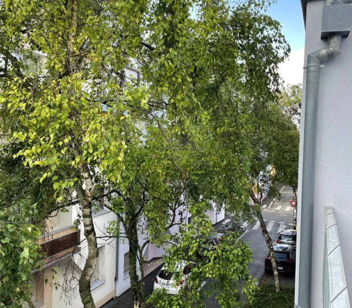 Location Strasbourg Appartement 6979785638aa