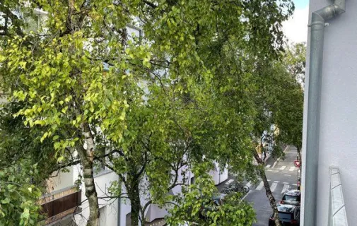 Location Strasbourg Appartement 6979785638aa