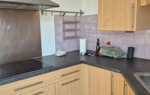 Location Toulouse Appartement 697978640694