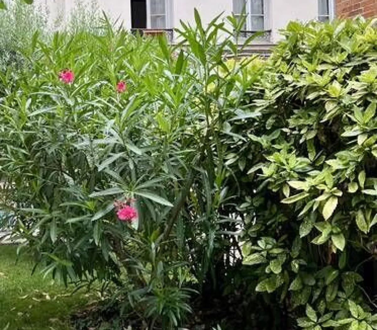 Location Paris Appartement 697a7967cf34