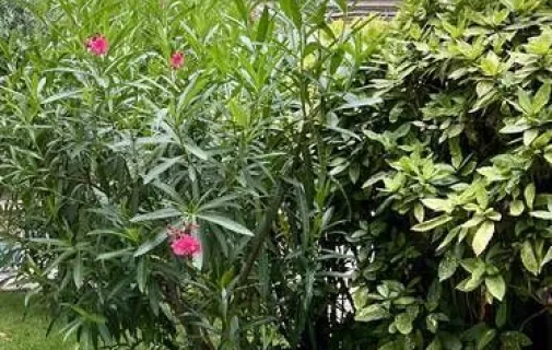 Location Paris Appartement 697a7967cf34