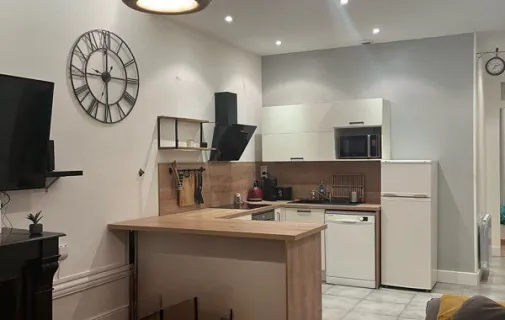 Location Villeurbanne Appartement 697bc7a05518