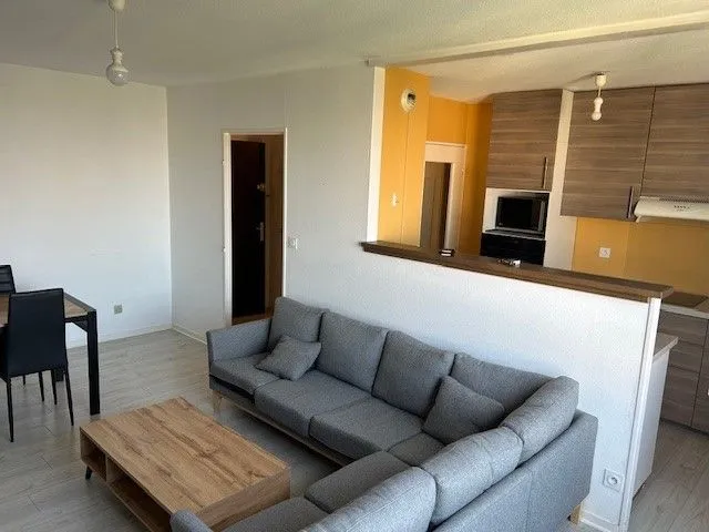 Location Lyon Appartement 697bc91b4c56