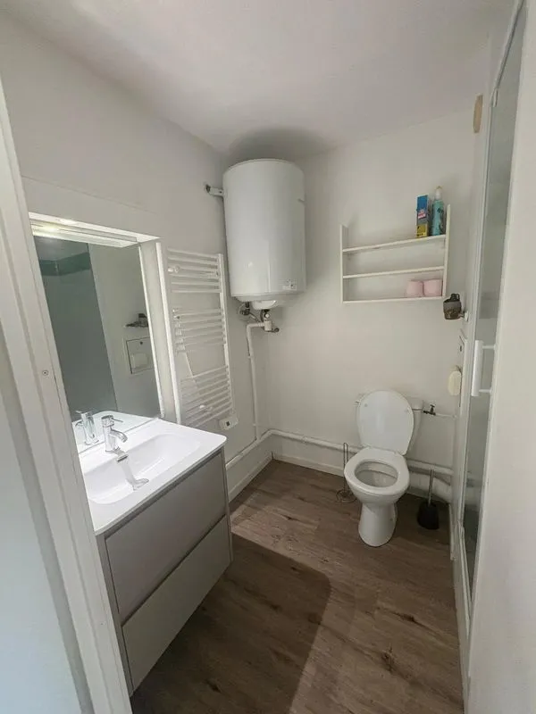 Location Lyon Appartement 697cd12e95eb