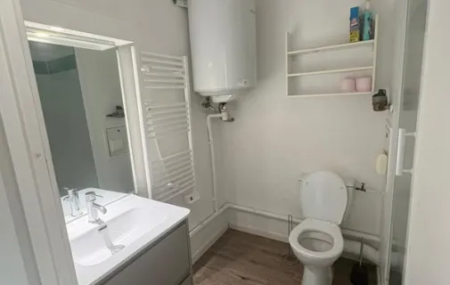 Location Lyon Appartement 697cd12e95eb