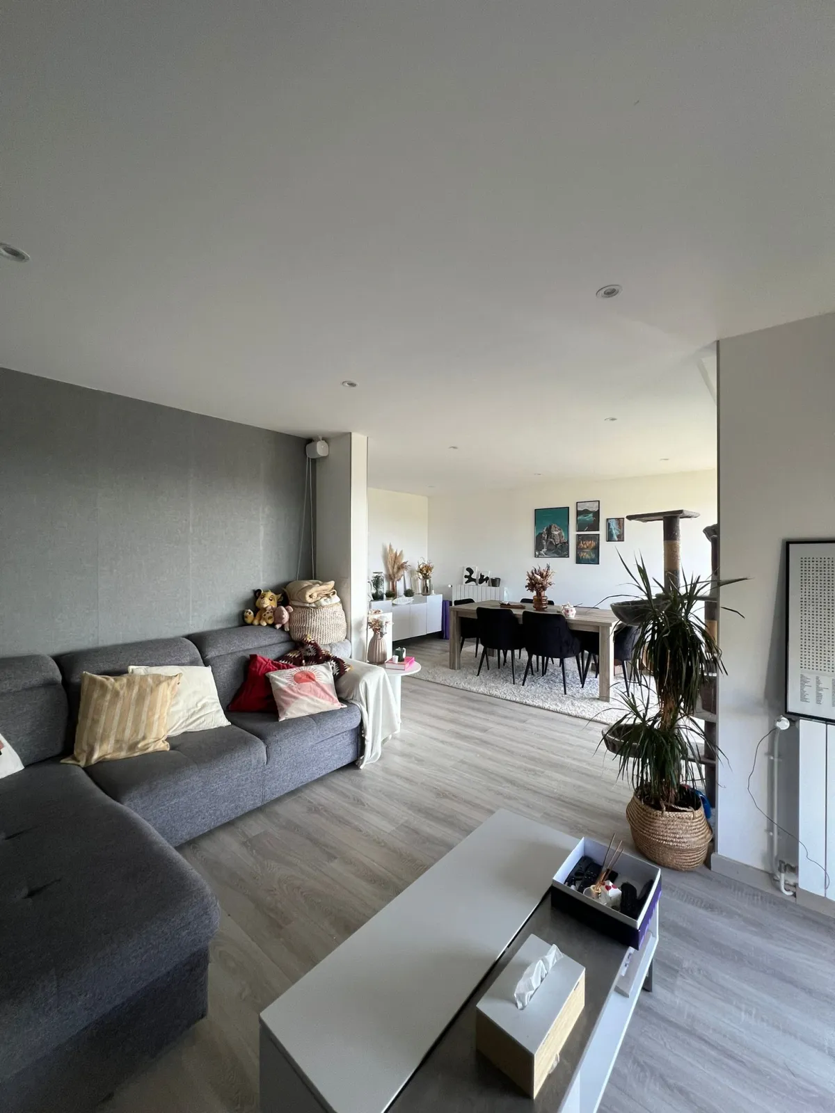 Location Blanquefort Appartement 697da26c95d8