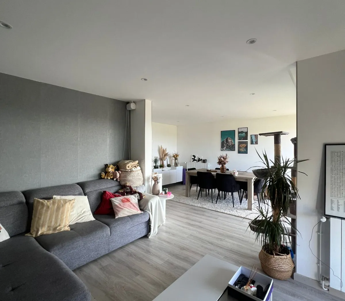 Location Blanquefort Appartement 697da26c95d8