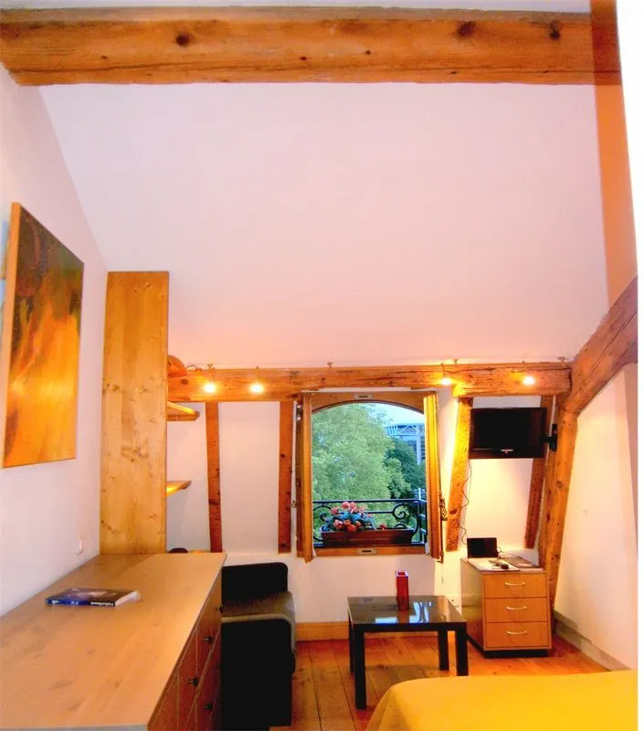 Location Lyon Appartement 697ebaa1949d