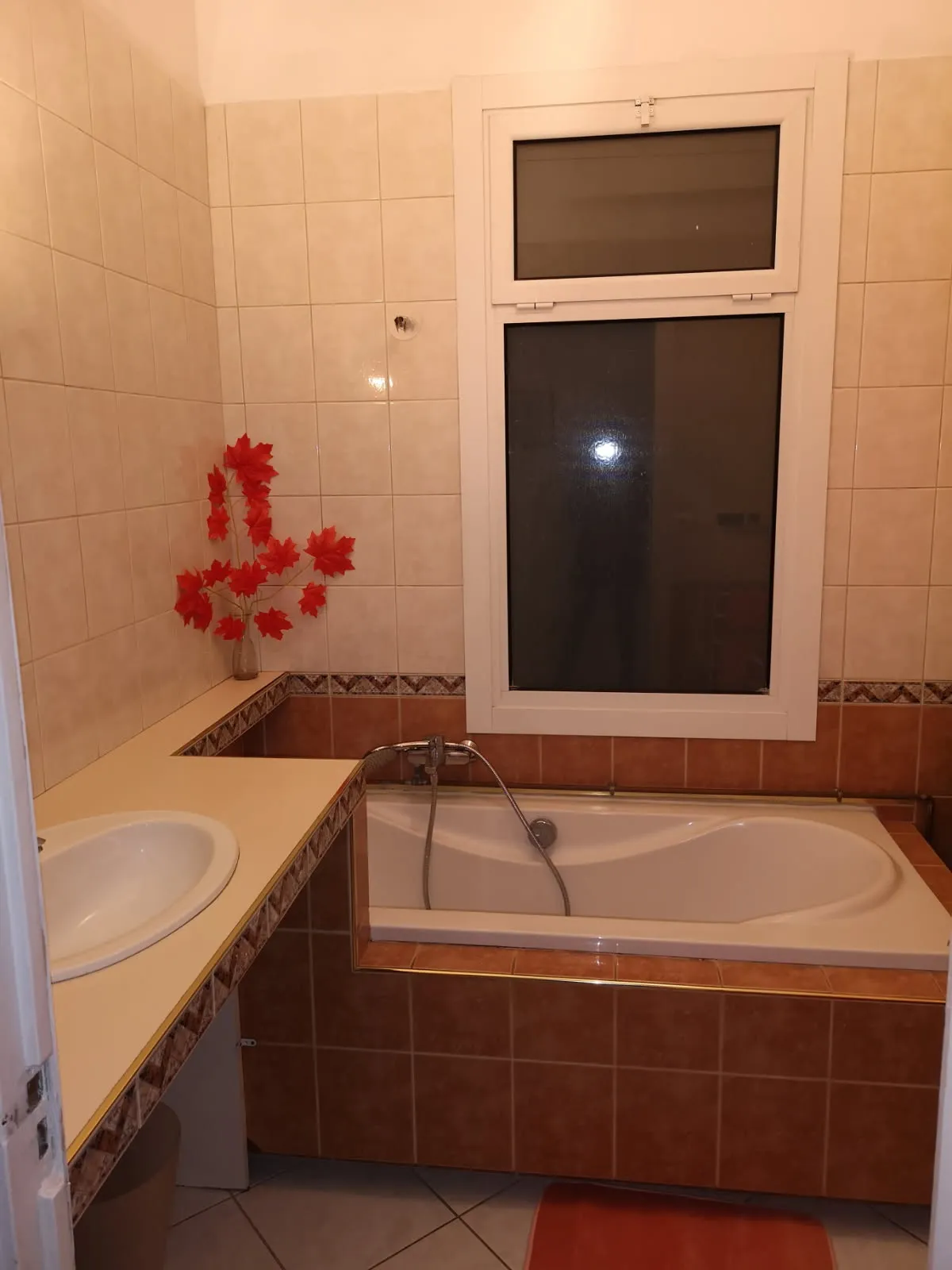 Location Nice Appartement 698075153060