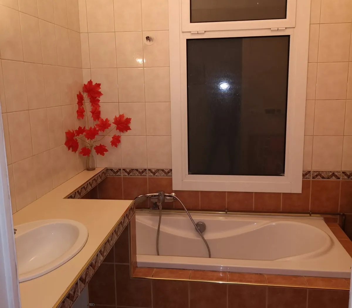 Location Nice Appartement 698075153060