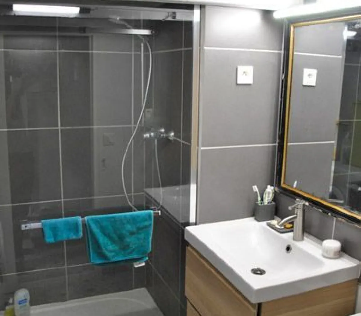 Location Lyon Appartement 698085227500