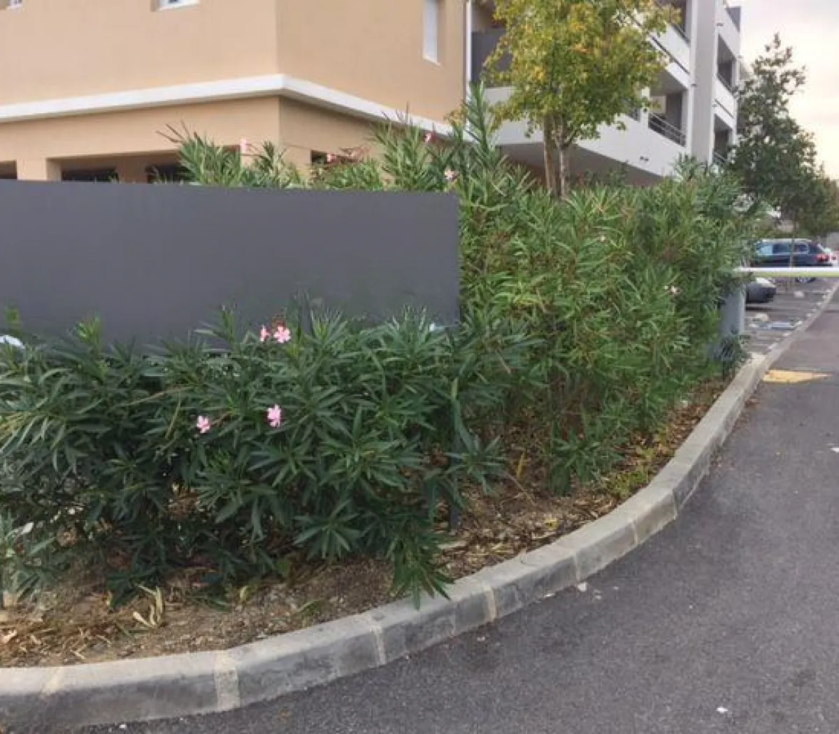 Location Aix-en-Provence Appartement 6980acbe839c