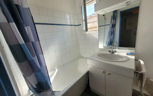 Location Villeurbanne Appartement 698124a58283