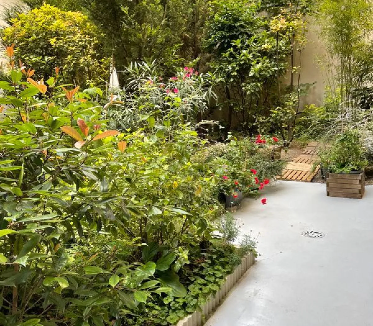 Location Paris Appartement 6981d339e43e