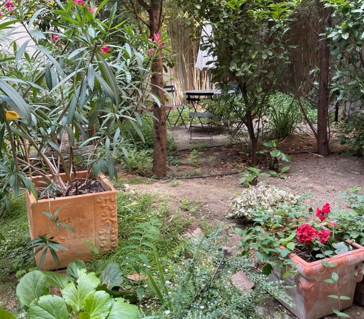 Location Paris Appartement 6981d339e43e