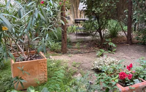 Location Paris Appartement 6981d339e43e