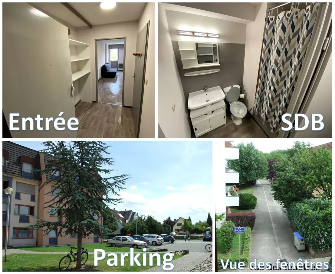 Location Illkirch-Graffenstaden Appartement 698202c49f0e