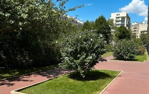 Location Paris Appartement 69831a789903